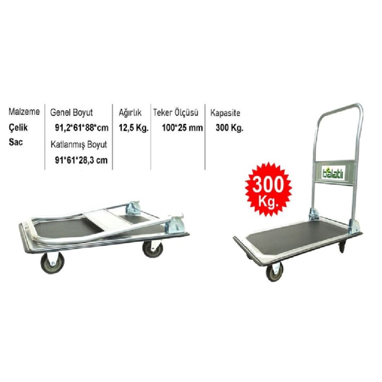 TAŞIMA ARABASI 300KG