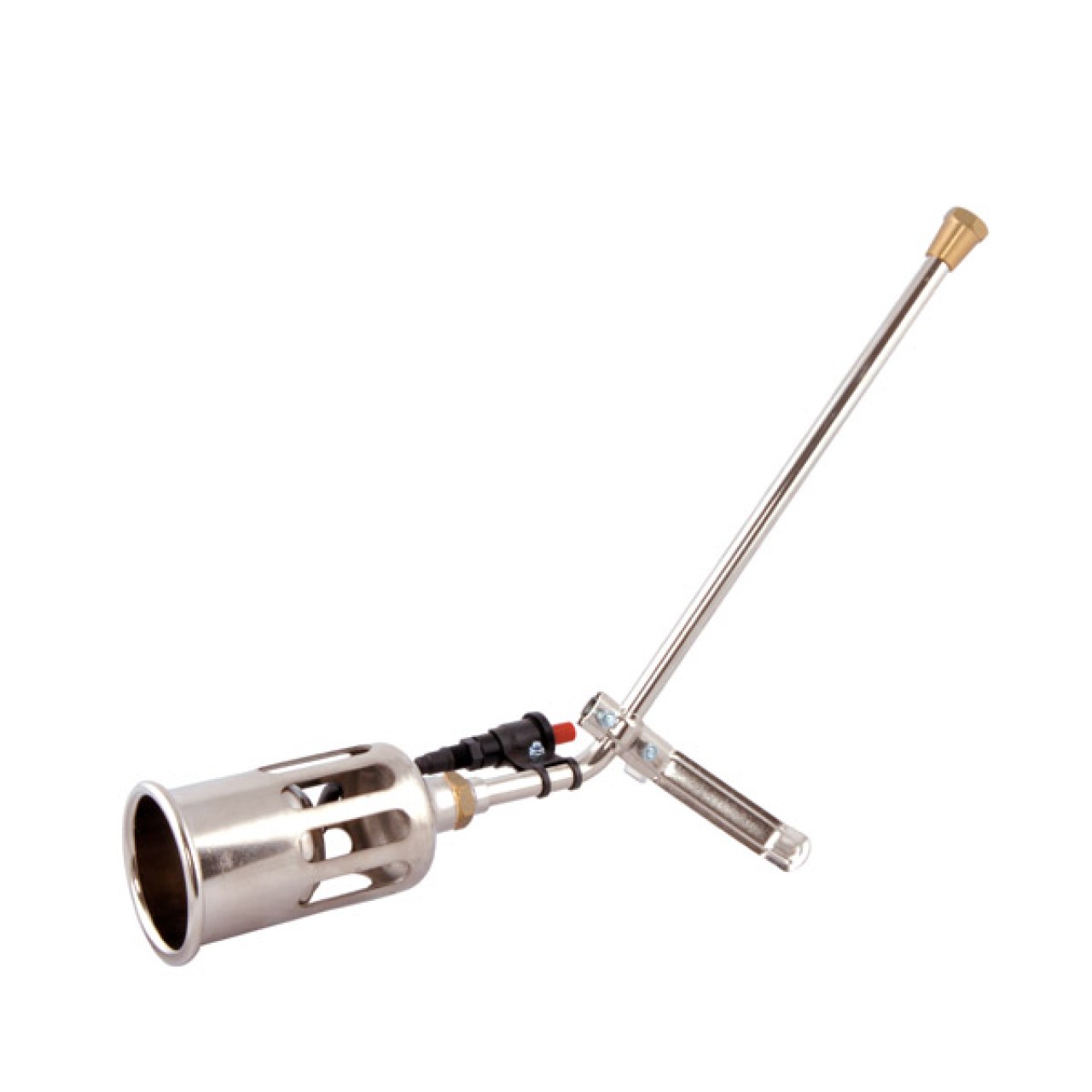 TAVLAMA BOYUN VE BAŞLIĞI