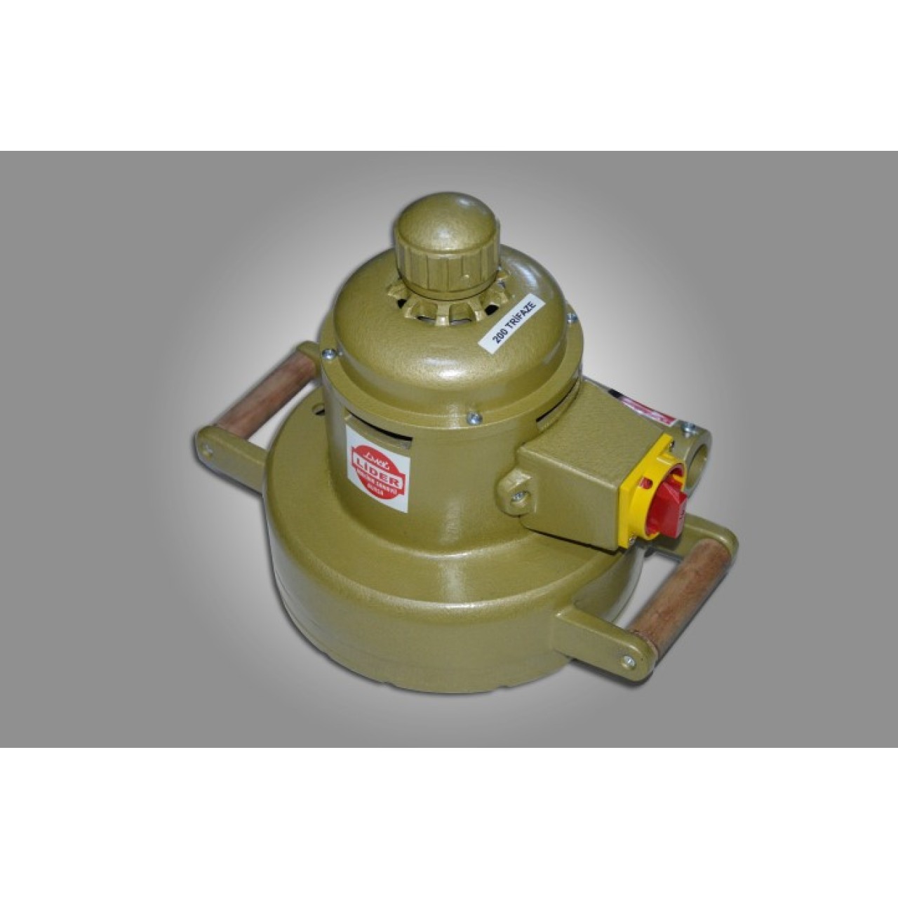 TEPSİ ZIMPARA MOTORU 200MM MONOFAZE